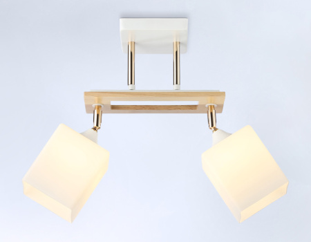 Накладные светильники — Накладной светильник Ambrella Light TR9501 купить в 