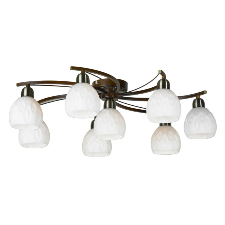 Люстры накладные — Накладная люстра Lussole LSP-0046 купить в  Люстры накладные — Накладная люстра Lussole LSP-0046 купить в