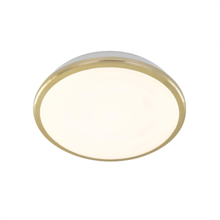 Накладные уличные светильники — Накладной уличный светильник Citilux CL702162W купить в 