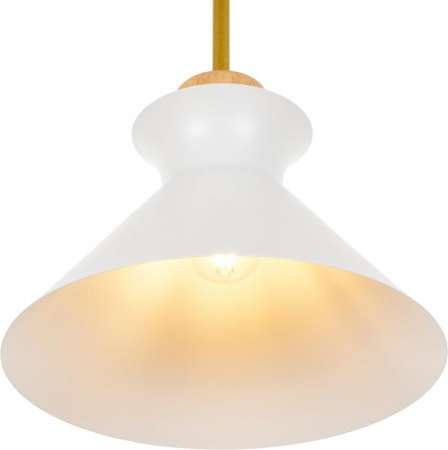 Подвесные светильники — Подвесной светильник MyFar MR1352-1P купить в  Подвесные светильники — Подвесной светильник MyFar MR1352-1P купить в