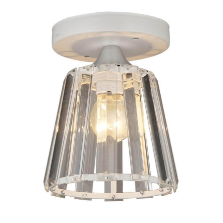 Потолочные светильники — Потолочный светильник Seven Fires Нетта 66111.01.09.01 купить в 