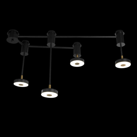 Люстры накладные — Накладная люстра LOFT IT 10189/1000 купить в  Люстры накладные — Накладная люстра LOFT IT 10189/1000 купить в