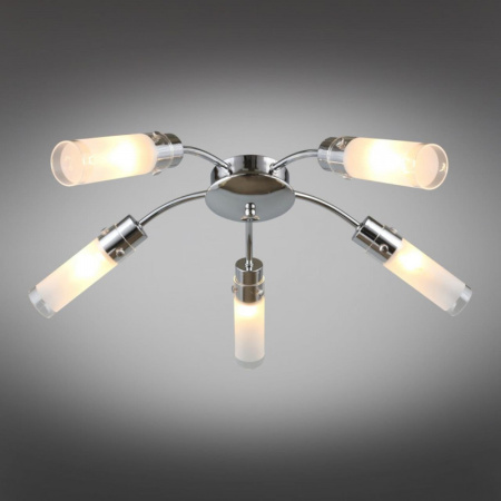 Люстры накладные — Накладная люстра Omnilux OML-28707-05 купить в 