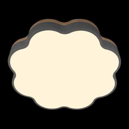 Накладные светильники — Накладной светильник LOFT IT 10225/36 Grey купить в 