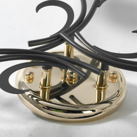 Люстры накладные — Накладная люстра Lussole LSP-9952 купить в  Люстры накладные — Накладная люстра Lussole LSP-9952 купить в