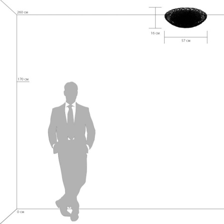 Накладные светильники — Накладной светильник Lightstar 603100 купить в 
