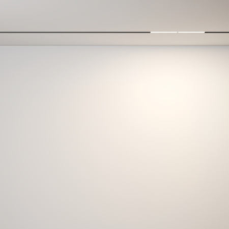 Трековые светильники — Светильник на шине Maytoni Technical TR106-2-12W3K-B купить в 