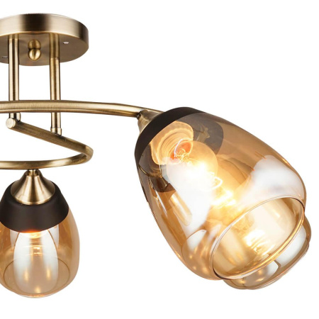 Потолочные люстры — Потолочная люстра Seven Fires Aldino 66425.01.05.05 купить в 