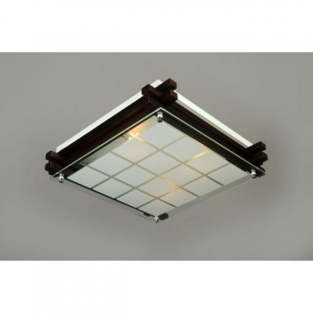 Накладные светильники — Накладной светильник Omnilux OML-40507-04 купить в 