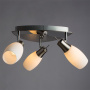 Споты — Спот ARTE Lamp A4590PL-3SS купить в  Споты — Спот ARTE Lamp A4590PL-3SS купить в