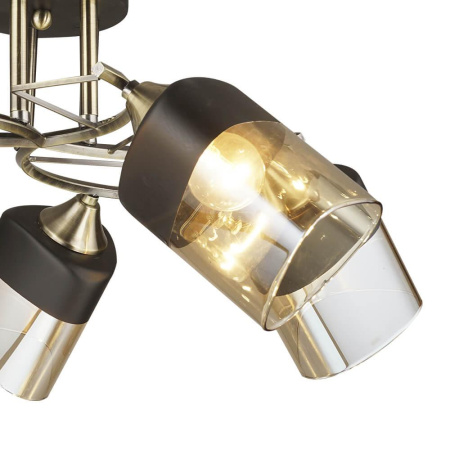 Потолочные люстры — Потолочная люстра Seven Fires Лайвес 66248.01.37.05 купить в 