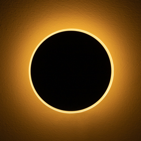 Настенные бра — Бра Freya FR6002WL-L13B купить в 