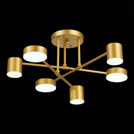 Люстры на штанге — Люстра на штанге Evoluce SLE201022-06 купить в 