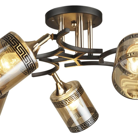 Потолочные люстры — Потолочная люстра Seven Fires Изера 66258.01.69.05 купить в 