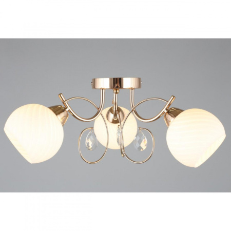 Люстры накладные — Накладная люстра Omnilux OML-25207-03 купить в 