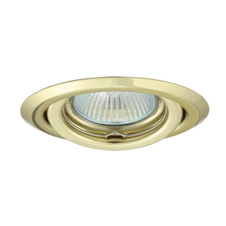 Точечные светильники — Точечный светильник Kanlux ARGUS CT-2115-YG 335 купить в 