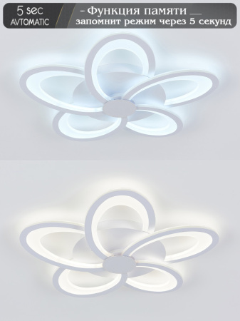 Люстры накладные — Накладная люстра Natali Kovaltseva LED LAMPS 81173 купить в  Люстры накладные — Накладная люстра Natali Kovaltseva LED LAMPS 81173 купить в