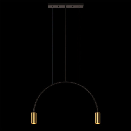 Подвесные светильники — Подвесной светильник LOFT IT 5043-2 купить в 