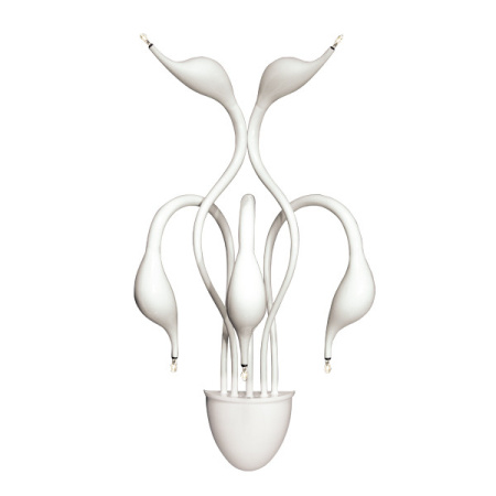 Настенные бра — Бра Lightstar 751656 купить в  Настенные бра — Бра Lightstar 751656 купить в