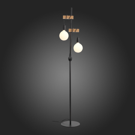 Торшеры и напольные светильники — Торшер Evoluce SL1142.405.01 купить в  Торшеры и напольные светильники — Торшер Evoluce SL1142.405.01 купить в