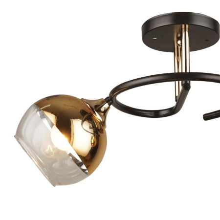 Потолочные люстры — Потолочная люстра Seven Fires Ажелли 66395.01.15.02 купить в  Потолочные люстры — Потолочная люстра Seven Fires Ажелли 66395.01.15.02 купить в