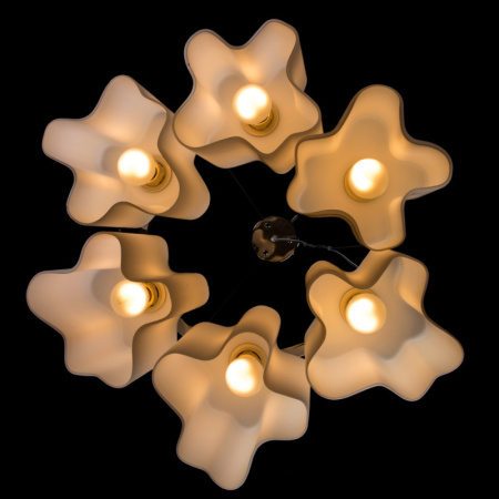 Люстры подвесные — Подвесная люстра ARTE Lamp A3479SP-6CC купить в  Люстры подвесные — Подвесная люстра ARTE Lamp A3479SP-6CC купить в