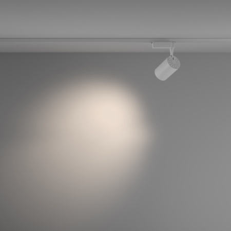 Трековые светильники — Светильник на шине Maytoni Technical TR003-1-15W4K-M-W купить в 