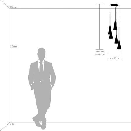 Подвесные светильники — Подвесной светильник Lightstar 804250 купить в 