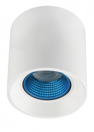 Накладные точечные светильники — Накладной светильник Denkirs DK3090-WH+CY купить в 