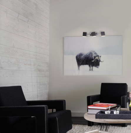 Споты — Спот Eurosvet 20000/3 черный купить в  Споты — Спот Eurosvet 20000/3 черный купить в