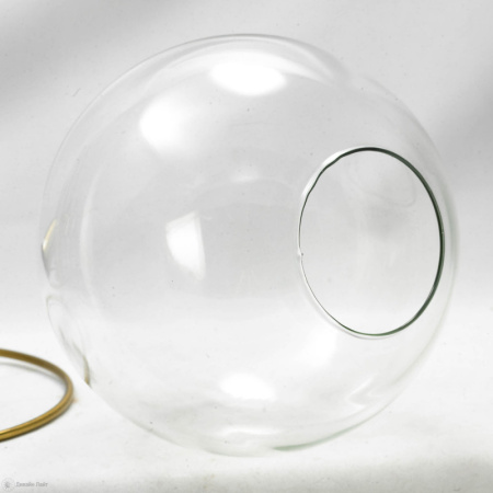 Люстры подвесные — Подвесная люстра Lussole LSP-9556 купить в 