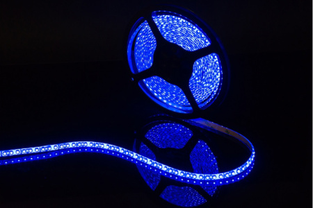 Светодиодные ленты — Лента SWG SWG3120-12-9.6-B-65 купить в 