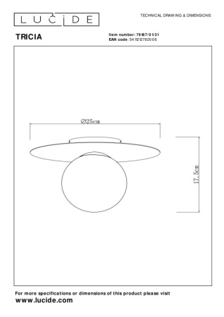 Накладные светильники — Накладной светильник LUCIDE 79187/01/31 купить в 