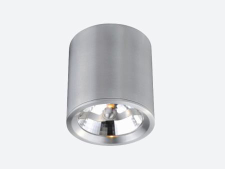 Накладные точечные светильники — Накладной светильник Donolux DL18408/11WW-R купить в 