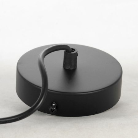 Подвесные светильники — Подвесной светильник Lussole LSP-8570 купить в 