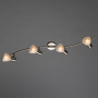 Споты — Спот ARTE Lamp A5062PL-4SS купить в  Споты — Спот ARTE Lamp A5062PL-4SS купить в