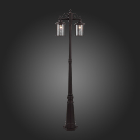 Высокие уличные фонари — Садово-парковый светильник ST-Luce SL080.425.02 купить в 