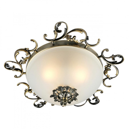 Накладные светильники — Накладной светильник Omnilux OML-76407-03 купить в 