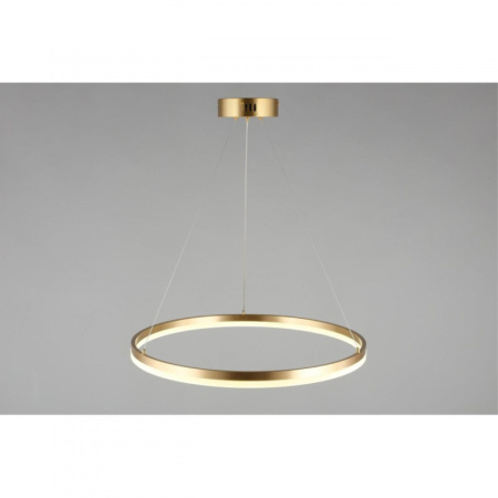 Подвесные светильники — Подвесной светильник APLOYT APL.049.13.40 купить в 