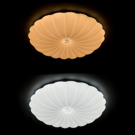 Накладные светильники — Накладной светильник ARTE Lamp A2675PL-72WH купить в  Накладные светильники — Накладной светильник ARTE Lamp A2675PL-72WH купить в