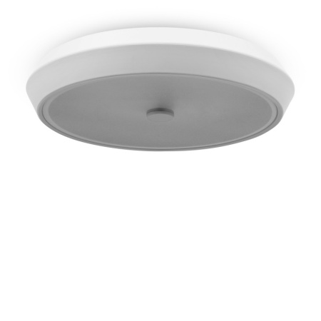 Накладные светильники — Накладной светильник Freya FR10012CL-L24W купить в 