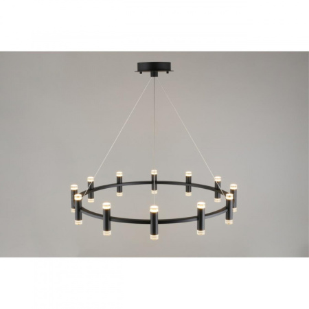 Люстры подвесные — Подвесная люстра APLOYT APL.037.03.120 купить в 