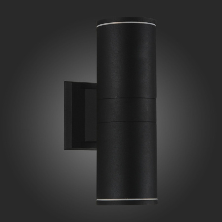 Уличные настенные светильники — Светильник настенный ST-Luce SL561.401.02 купить в 