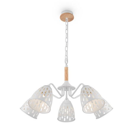 Люстры подвесные — Подвесная люстра Freya FR5138PL-05W купить в 