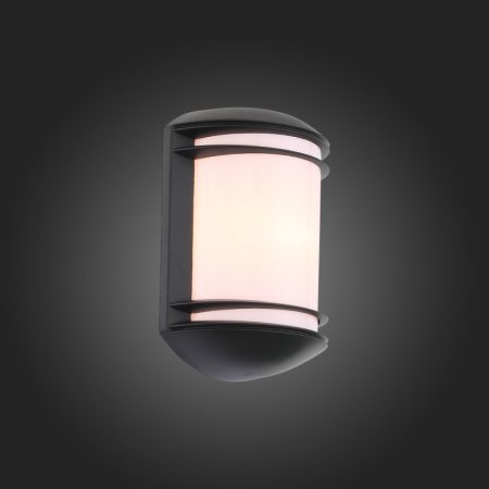 Уличные настенные светильники — Светильник настенный ST-Luce SL076.401.01 купить в 