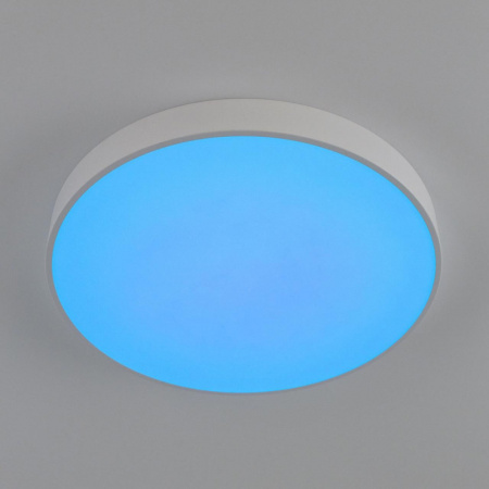 Накладные светильники — Накладной светильник Citilux CL72495G0 купить в  Накладные светильники — Накладной светильник Citilux CL72495G0 купить в