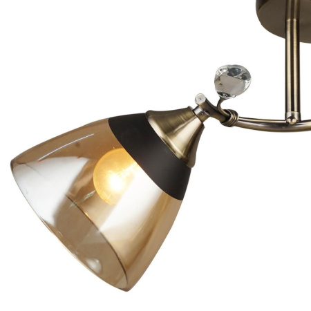 Потолочные люстры — Потолочная люстра Seven Fires Бормио 66368.01.05.02 купить в 