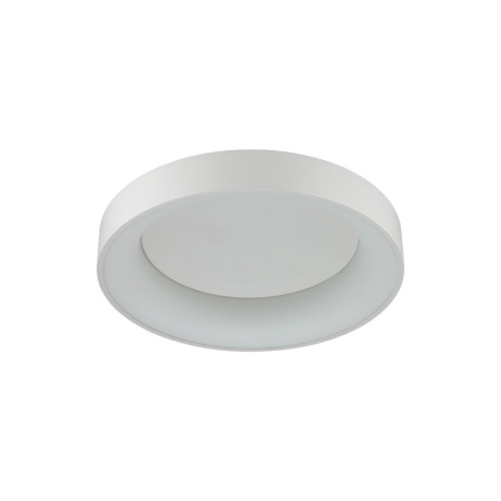 Накладные светильники — Накладной светильник Odeon Light 4066/40CL купить в 