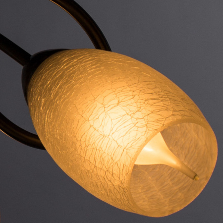 Люстры накладные — Накладная люстра ARTE Lamp A8616PL-3AB купить в  Люстры накладные — Накладная люстра ARTE Lamp A8616PL-3AB купить в