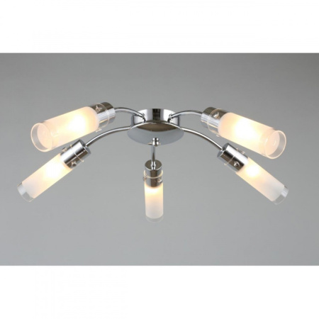 Люстры накладные — Накладная люстра Omnilux OML-28707-05 купить в 